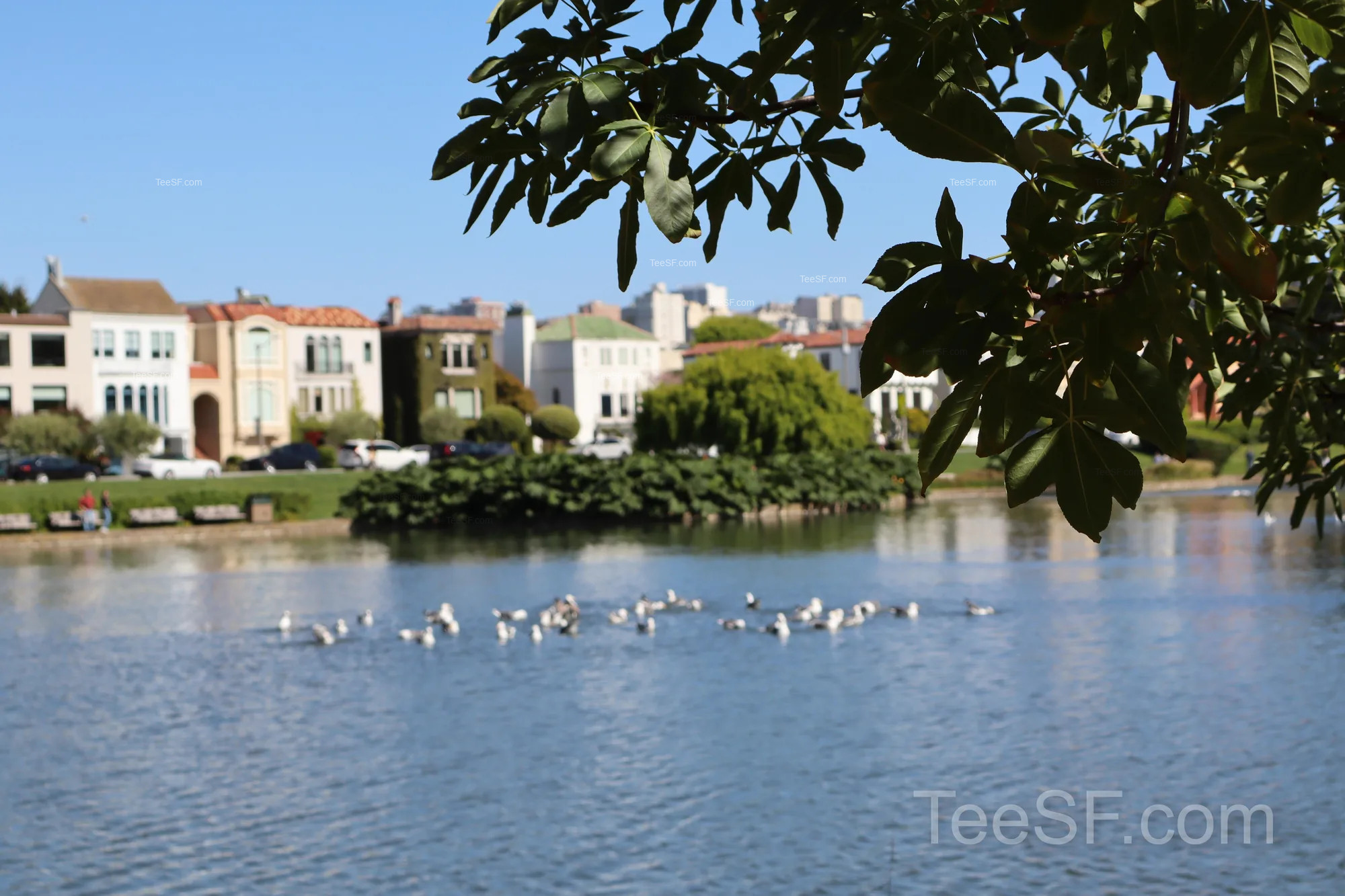 palace Lagoon And Flowers during a Stripe Sessions 2026 visit in San Francisco.